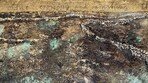 신성한 황금이 피와 분노로 변하던 순간[영감 한 스푼]