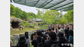 [글로벌 현장을 가다/황인찬]중일관계 냉각 반영하나… 中판다 줄줄이 반환 앞둔 日
