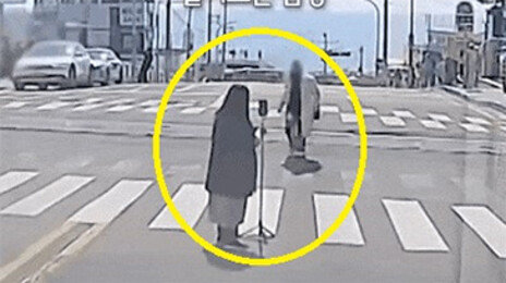 차량통행 막고 계속 찰칵…‘해운대 민폐 커플’ 논란 [e글e글]